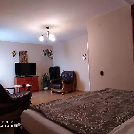 Apartmán W Poblizu Energylandii - Ogrod