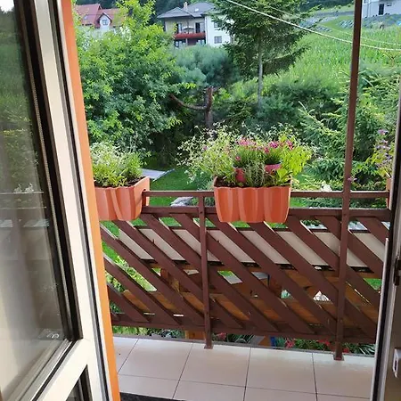 W Poblizu Energylandii - Ogrod