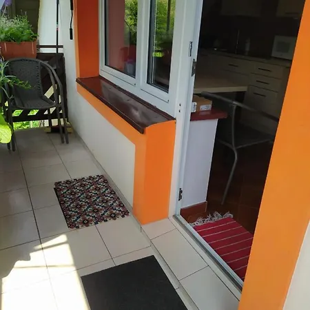 W Poblizu Energylandii - Ogrod